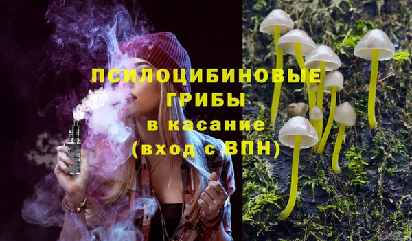 PSILOCYBIN Волосово