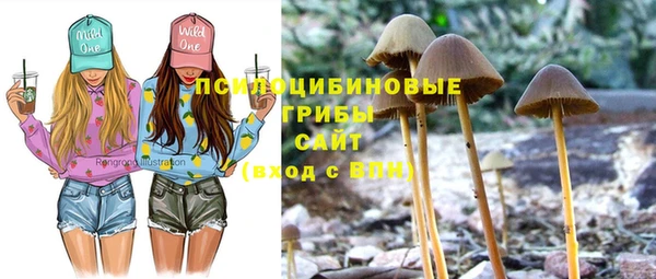 PSILOCYBIN Волосово